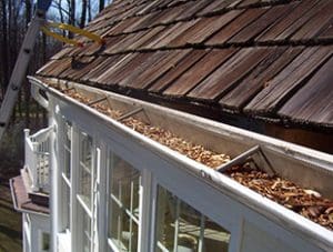 Clogged Gutter