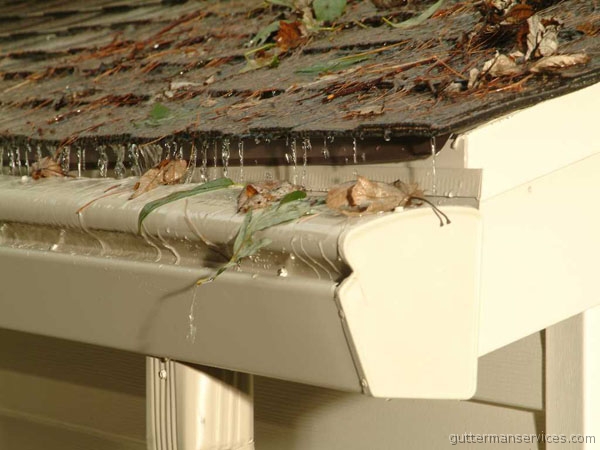 Gutter GUard